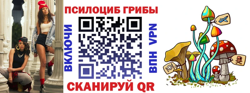 купить наркотик  Кузнецк  Галлюциногенные грибы Cubensis 